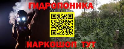 каннабис Будённовск