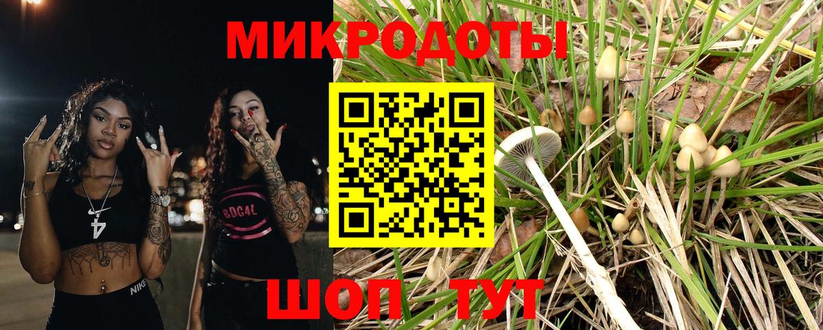 Псилоцибиновые грибы GOLDEN TEACHER Саянск