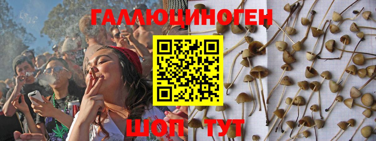 Саянск  Псилоцибиновые грибы мицелий  Вход с VPN 